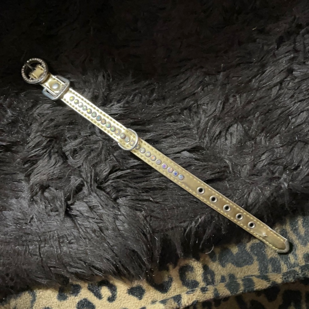 Gold rhinestone dog collar